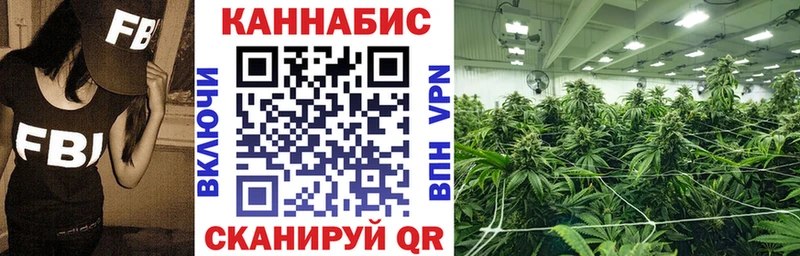 где можно купить   Новодвинск  Марихуана THC 21% 
